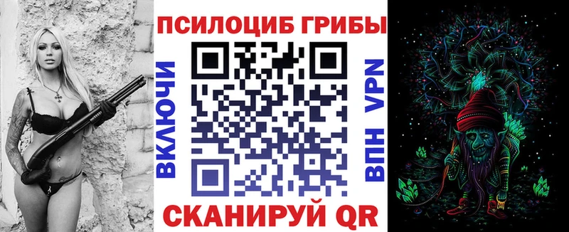Купить  Зеленогорск  Галлюциногенные грибы мухоморы 